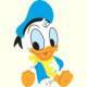 PAINEL DONALD BABY